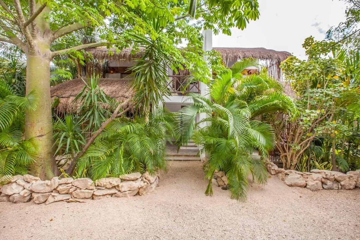 Yafe Tulum Mexico
