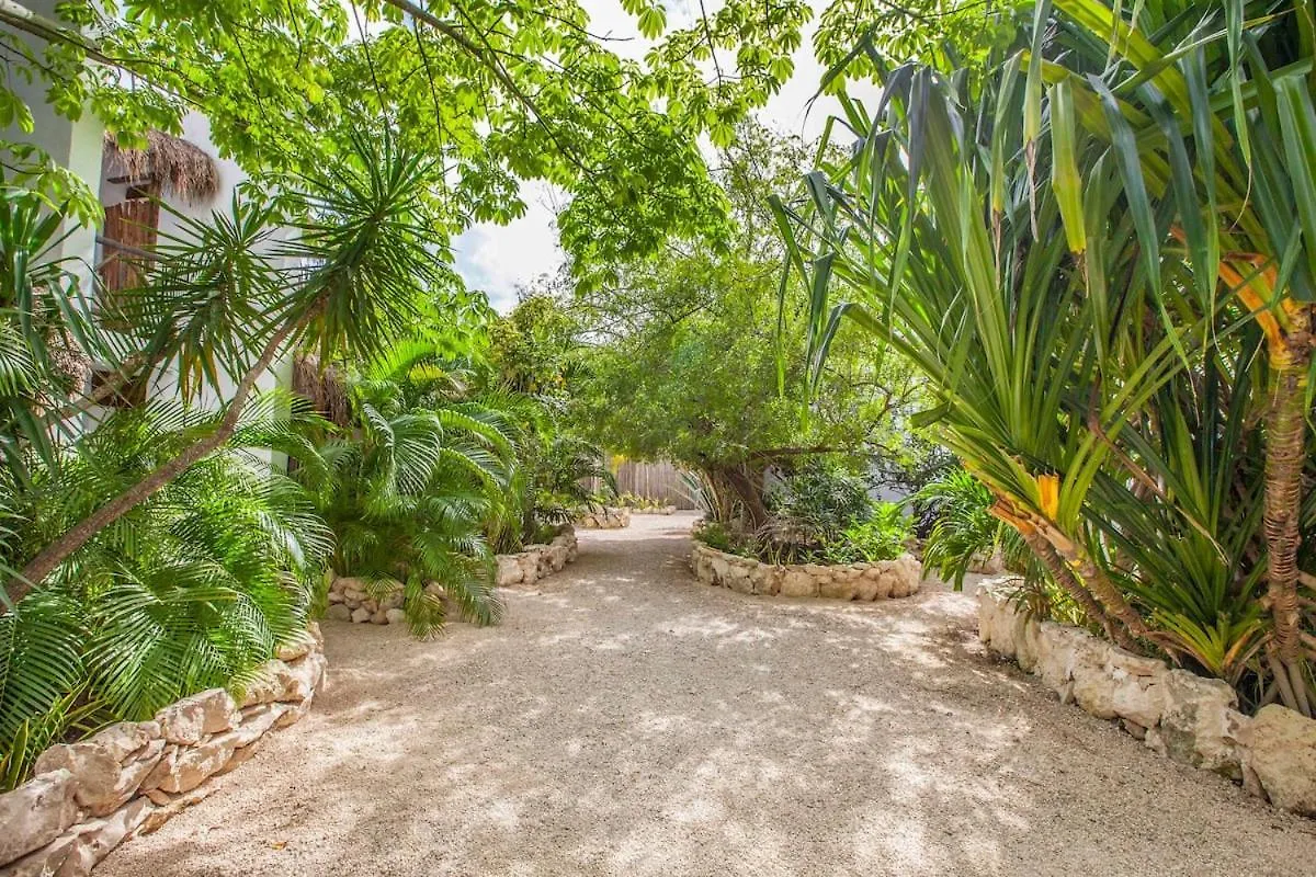 Hotel Yafe Tulum Mexico