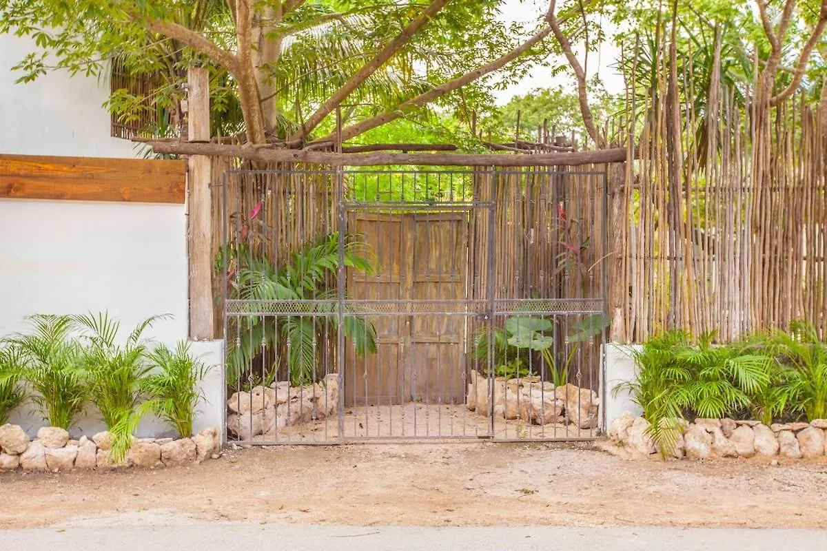 Yafe Tulum